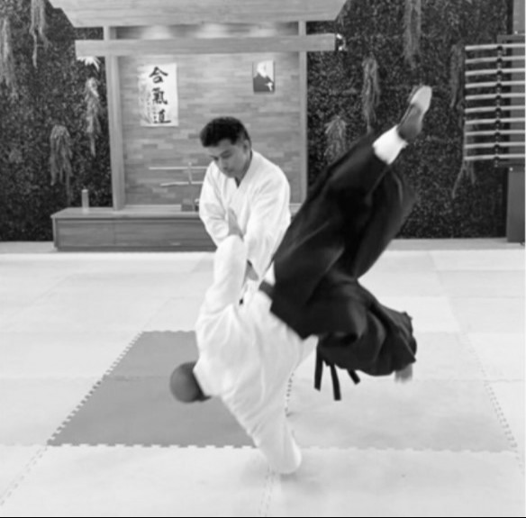 Aikido Training